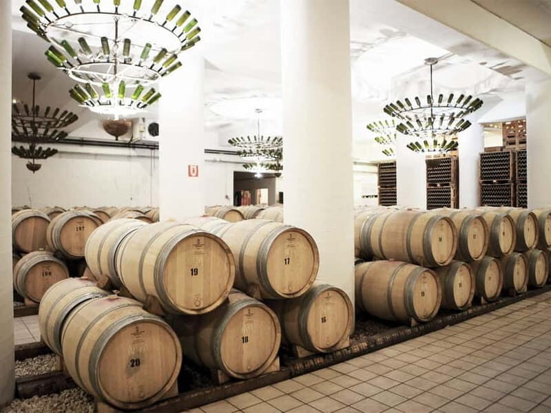 From Nafplio: Nemea, Wine Tasting Tour with Local Flavours - The Itinerary in Detail