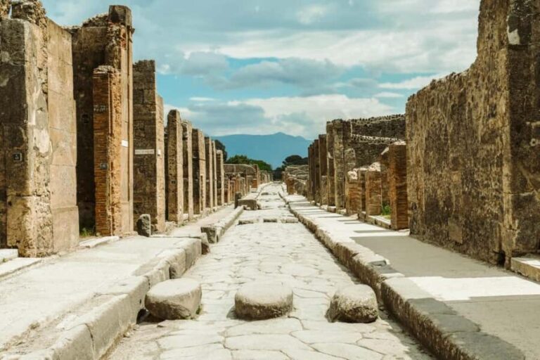 From Naples Port: Pompeii Guided Walking tour or Audioguide - How the Tour Works