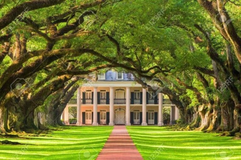 From New Orleans: Oak Alley and Laura Plantation Guided Tour - What’s Included and What’s Not