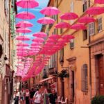 From Nice or Cannes: Private Guided Tour to Grasse & St-Paul - Authentic Insights from Travelers