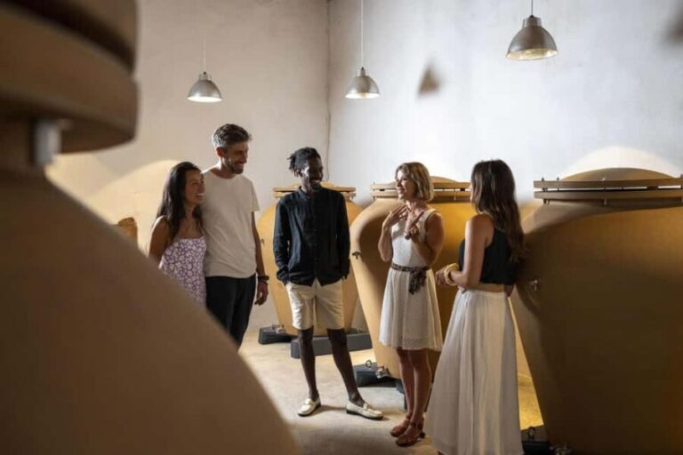 From Nice: Provence Wine Full-Day Tour - Exploring the Itinerary: What to Expect