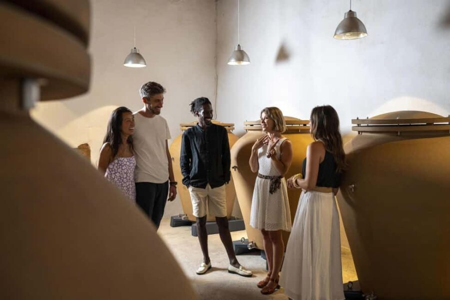 From Nice: Provence Wine Full-Day Tour - Exploring the Itinerary: What to Expect