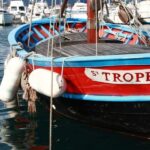 From Nice: St Tropez & Port Grimaud Full Day Tour - Authentic Experiences and Real-World Insights