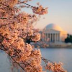 From NYC: Niagara Falls, Washington DC and Boston 4-Day Trip - Day 2: From Washington DC to Niagara Falls via Finger Lakes and Watkins Glen