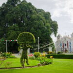 From Oaxaca: City, Mitla, and Mezcal Factory Tour - Practical Details and Value