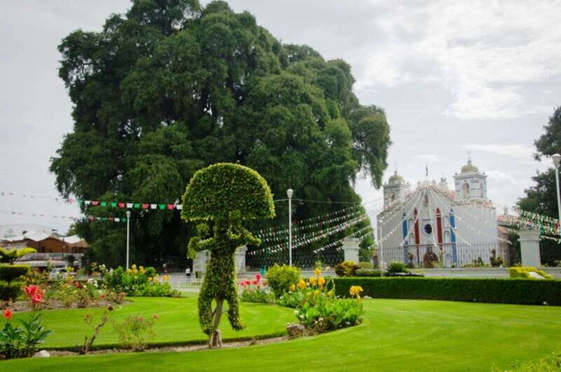 From Oaxaca: City, Mitla, and Mezcal Factory Tour - Practical Details and Value