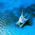 From Obzor, Bulgaria: Half-Day Black Sea Catamaran Cruise - The Experience in Detail