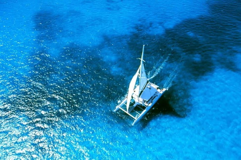 From Obzor, Bulgaria: Half-Day Black Sea Catamaran Cruise - The Experience in Detail