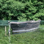 From Ohrid: Full day Boat Trip to the Monastery of St. Naum - Why This Tour Offers Real Value