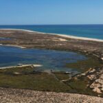 From Olhão: Ria Formosa 3-Island Full-Day Tour - Who Is This Tour Best For?