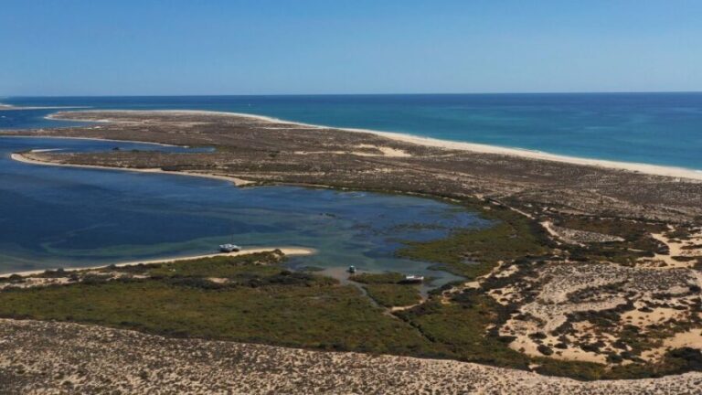 From Olhão: Ria Formosa 3-Island Full-Day Tour - Who Is This Tour Best For?