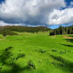 From Oradea: Apuseni Mountains Guided Hiking Tour - Who Will Love This Tour?