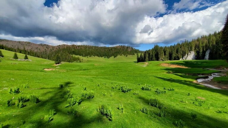 From Oradea: Apuseni Mountains Guided Hiking Tour - Who Will Love This Tour?