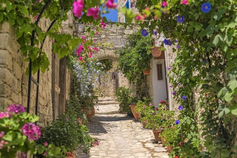 From Pafos/Limassol: Tastes of Cyprus Tour in Polish - What’s the Value of This Tour?