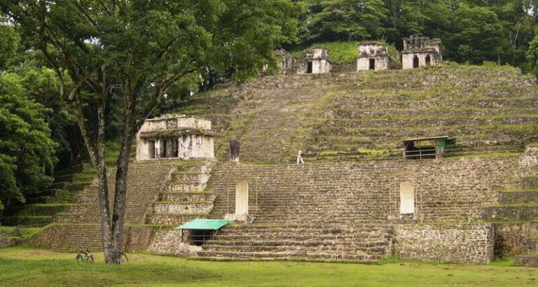 From Palenque: Bonampak & Yaxchilán - The Journey Begins: Transportation & Logistics