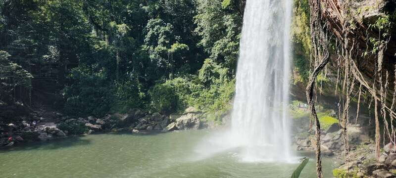From Palenque: Misol-Ha & Agua Azul Waterfalls Day Tour - Detailed Breakdown of the Tour
