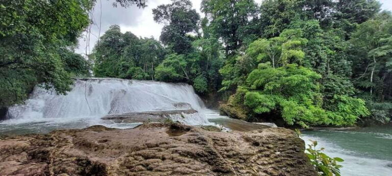 From Palenque: Roberto Barrios and El Salto Waterfalls Tour - Authentic Experiences and Honest Insights from Reviews