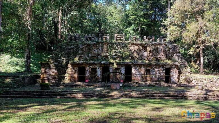 From Palenque: Yaxchilán and Bonampak Tour - Authentic Experiences and Practical Tips