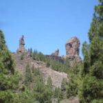 From Palmas: Pico de las Nieves & Roque Nublo Full-Day Trip - Who Should Consider This Tour?