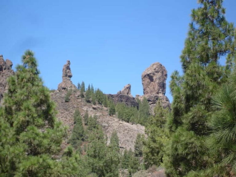 From Palmas: Pico de las Nieves & Roque Nublo Full-Day Trip - Who Should Consider This Tour?