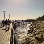 From Paphos: Limassol Experience - Transportation and Logistics