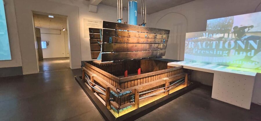 From Paris: Champagne Cellars and Vineyards Tour and Tasting - In-Depth Look at the Itinerary