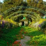 From Paris: McArthurGlen Center & Monet's Givern House Visit - Transportation and Logistics