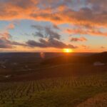 From Paris: Reims Cathedral, Champagne Cellar, and Tasting - Authentic Experience and Traveler Feedback