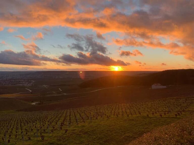 From Paris: Reims Cathedral, Champagne Cellar, and Tasting - Authentic Experience and Traveler Feedback