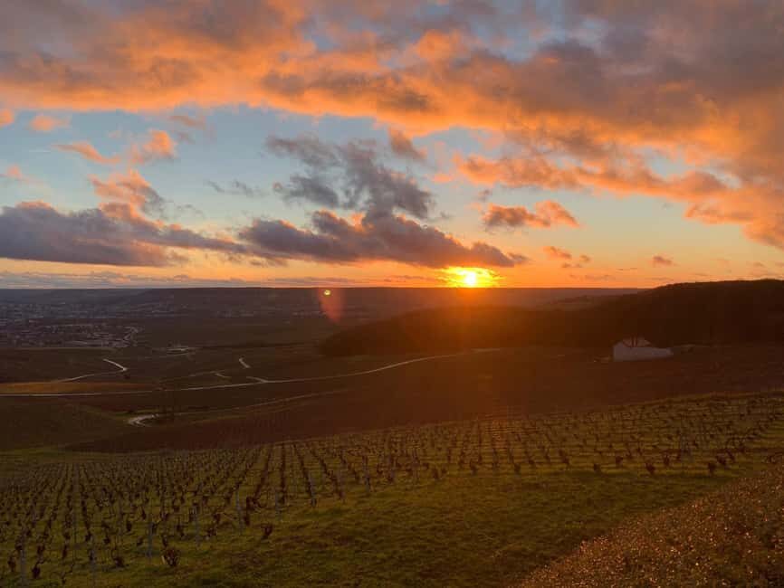 From Paris: Reims Cathedral, Champagne Cellar, and Tasting - Authentic Experience and Traveler Feedback