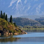 From Petrovac or Budva: Skadar Lake Cruise with Lunch - A Detailed Look at the Skadar Lake Cruise