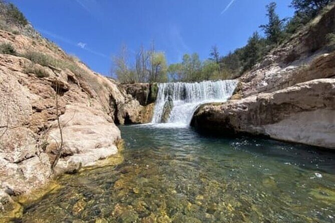 From Phoenix: Offroad Sonoran Desert and Sunset Shared Tour - Who Is This Tour Best For?