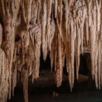 From Playa del Carmen or Tulum: Rio Sagrado Experience - An In-Depth Look at the Rio Sagrado Experience