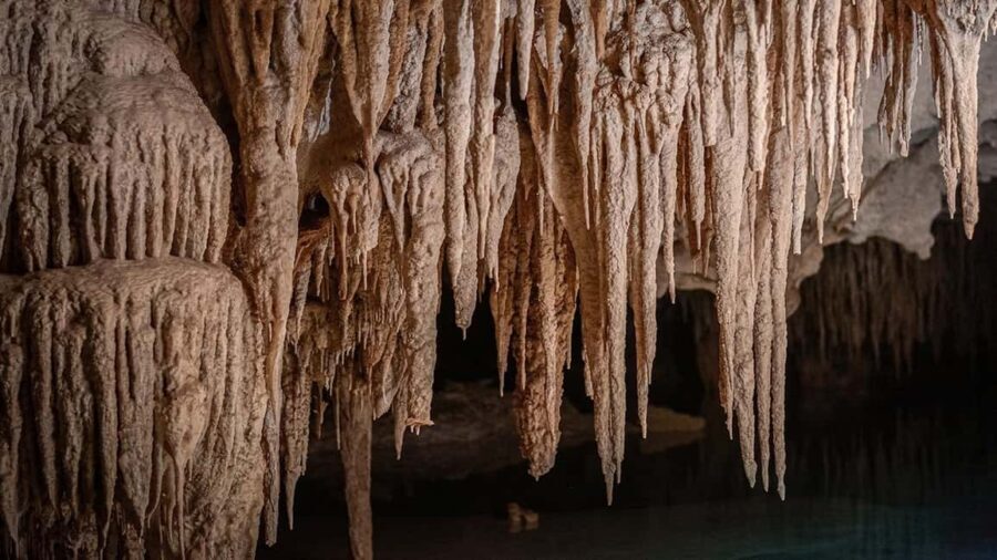 From Playa del Carmen or Tulum: Rio Sagrado Experience - An In-Depth Look at the Rio Sagrado Experience