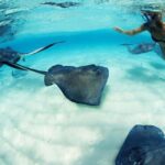 From Playa del Carmen: Xcaret Plus Park, the complete experience - Who Should Consider This Tour?