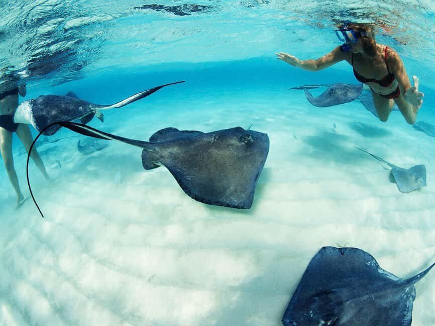 From Playa del Carmen: Xcaret Plus Park, the complete experience - Who Should Consider This Tour?