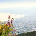 From Pompeii: Bus Transfer to Vesuvius with Park Entry Fee - The Transfer Up the Mountain