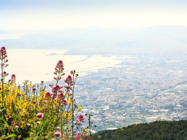 From Pompeii: Bus Transfer to Vesuvius with Park Entry Fee - The Transfer Up the Mountain