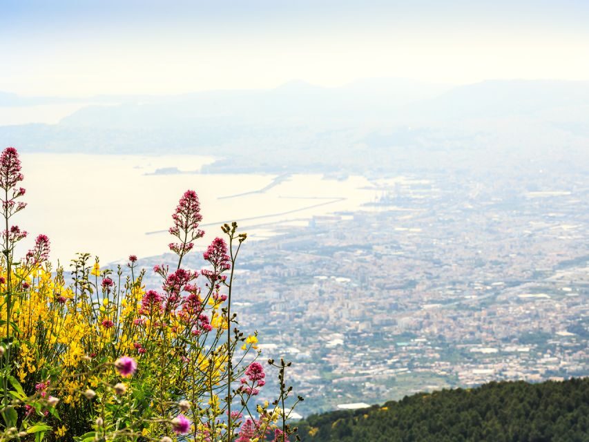 From Pompeii: Bus Transfer to Vesuvius with Park Entry Fee - The Transfer Up the Mountain