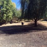 From Portland: Willamette Valley Wine & Whisky - An In-Depth Look at the Tour Experience