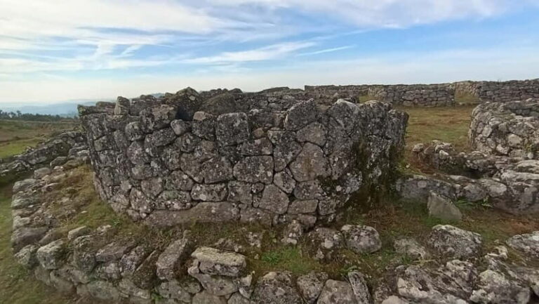 From Porto: Castros Celtic Ruins Private Day Tour - Who Will Love This Tour?