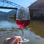 From Porto Day Douro Valley Wine Tour 2 Wine Tasting & Lunch - Discovering the Douro Valley: What You Can Expect