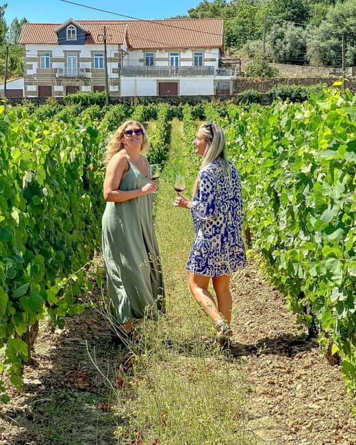 From Porto: Douro Valley Private Tour w/ 3 Wineries & Lunch - Who Is This Tour Best For?