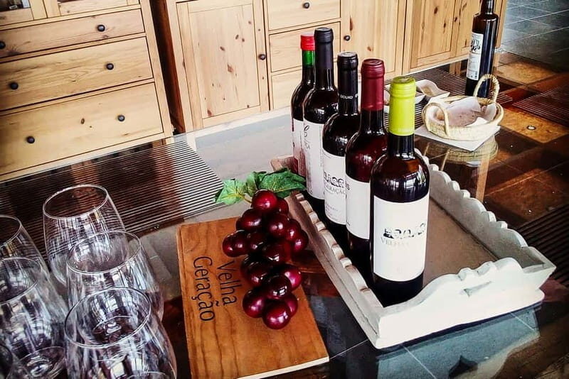 From Porto: Douro Valley with Wineries, Lunch and Boat Trip - Why This Tour Is a Great Value