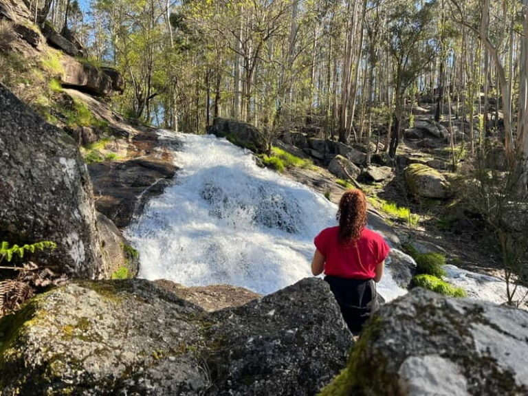 From Porto: Forest Waterfalls & Roman Ruins Trail Tour - What to Expect & How It Feels