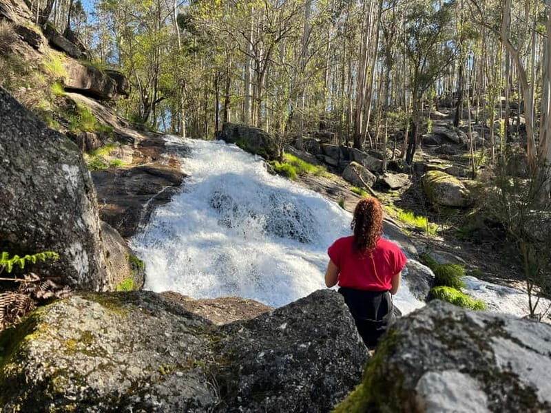 From Porto: Forest Waterfalls & Roman Ruins Trail Tour - What to Expect & How It Feels