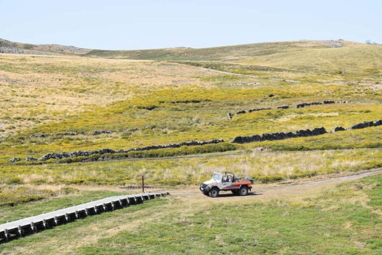 From Porto: Jeep Tour Serra Freita - Unesco Arouca Geopark - Final Thoughts: Is This Tour for You?