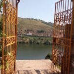 From Porto: luxury tour with full lunch at Quinta da Pacheca - Walking in the Vineyards: A Serene and Photo-Worthy Experience