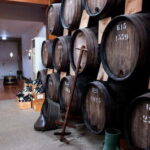 From Porto: Nature and Wine tasting Full-Day Tour - The Practical Side: What to Expect