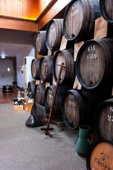 From Porto: Nature and Wine tasting Full-Day Tour - The Practical Side: What to Expect